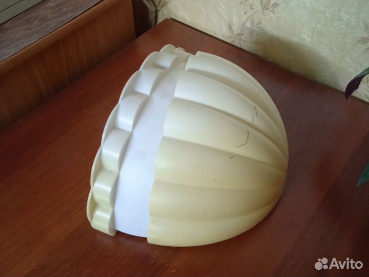 Крассула толстянка