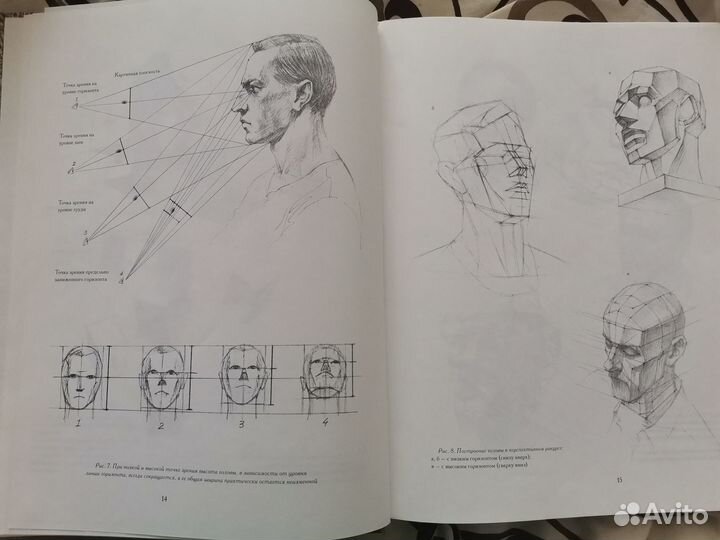 Голова человека Ли Основы учебного академического