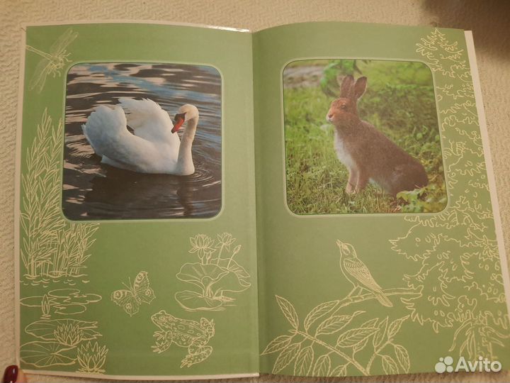 Атлас-определитель от земли до неба Плешаков А.А