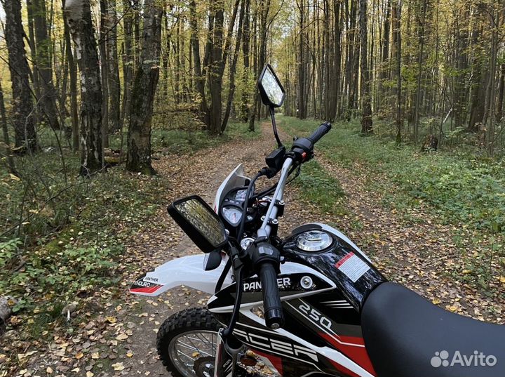 Racer Panther 250