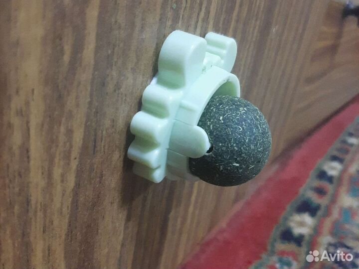 Кошачья мята