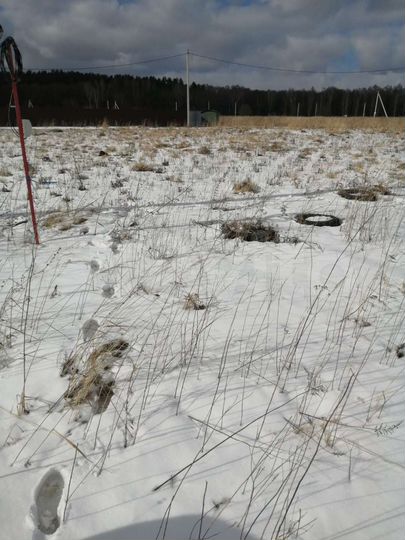 Участок 11 сот. (ИЖС)