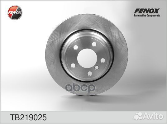 Диск тормозной BMW X5 00 - TB219025 fenox