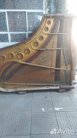 Рояль карл кутчера