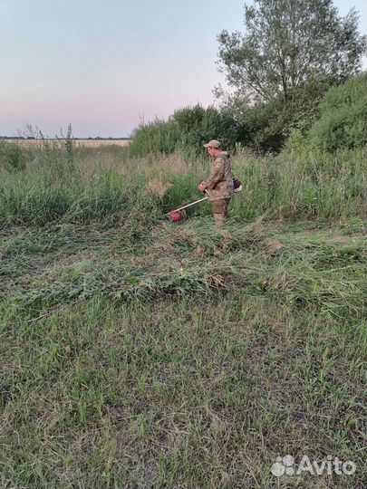 Покос травы