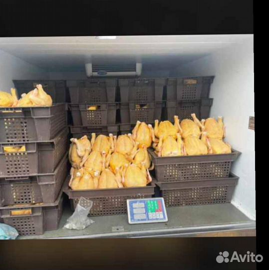 Куры с доставкой на дом