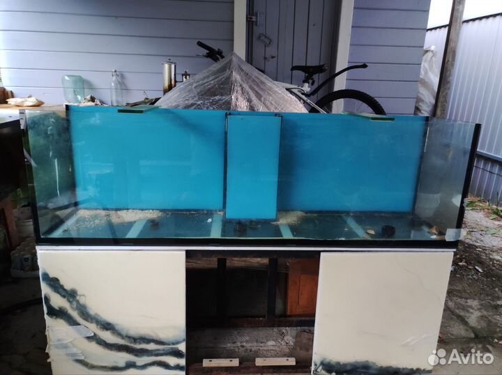 Аквариум морской