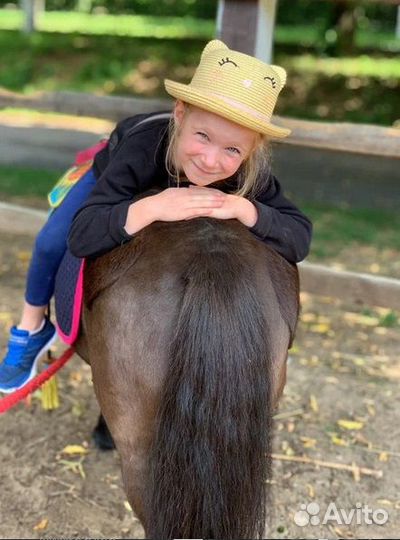 Конные прогулки, верховая езда, катание на лошадях