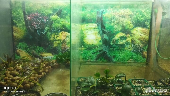 Аквариумы от 100 литров