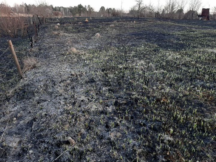 Участок 10 сот. (СНТ, ДНП)