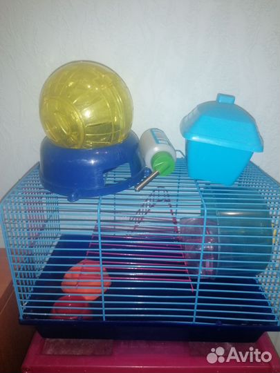 Клетка для хомяка