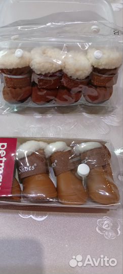 Обувь на маленькую собачку