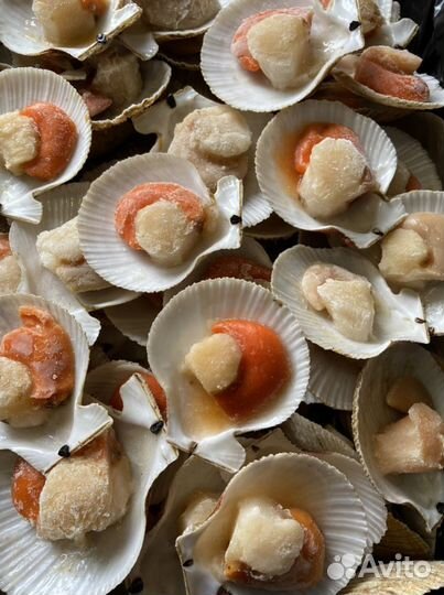 Морской гребешок на створке