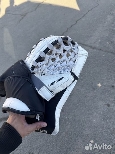 Блин и ловушка warrior rg5