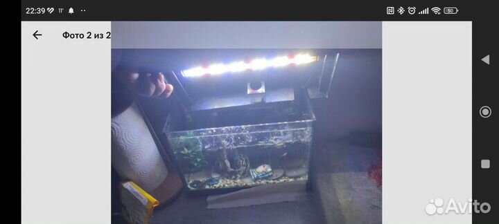 Светодиодная лампа сине бело красная для аквариума