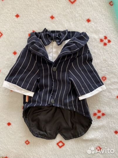 Фрак и свадебное платье для собак