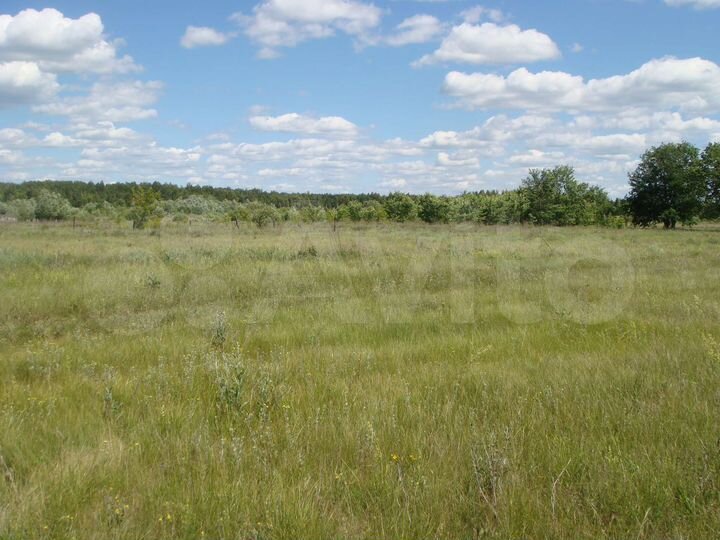 Участок 15 сот. (ИЖС)