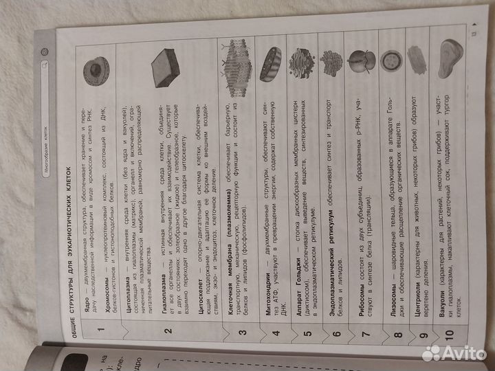 Биология. Вся теория для подготовки огэ и егэ