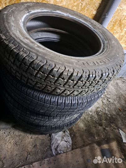 Accelera Accelera R16C