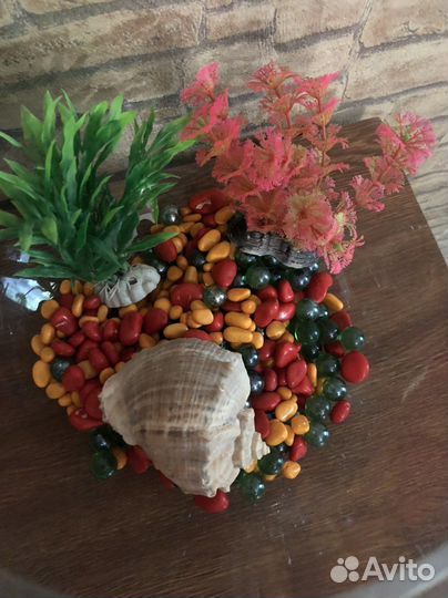 Аквариум на 10 литров