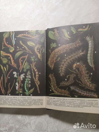 Учебные пособия по биологии СССР