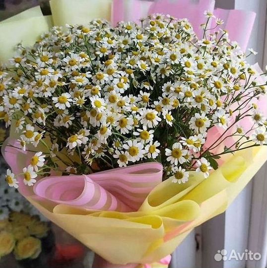 Цветы ромашки. Букеты ромашек. Цветы доставка