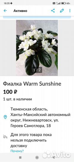 Детки сортовых фиалок