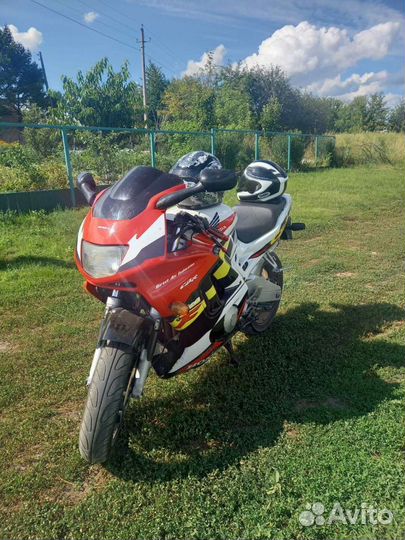 Honda sbr600 f3 (98)