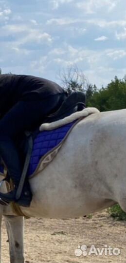 Меховушка для лошади