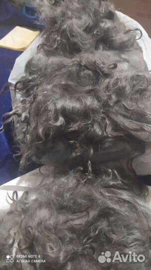 Пуховые козы