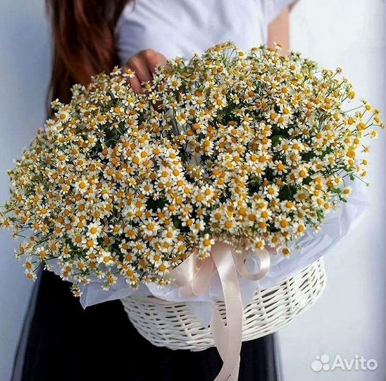 Ромашки букет