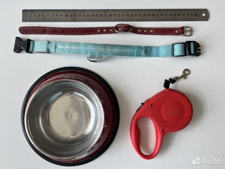 Ошейник и поводок для маленьких собак