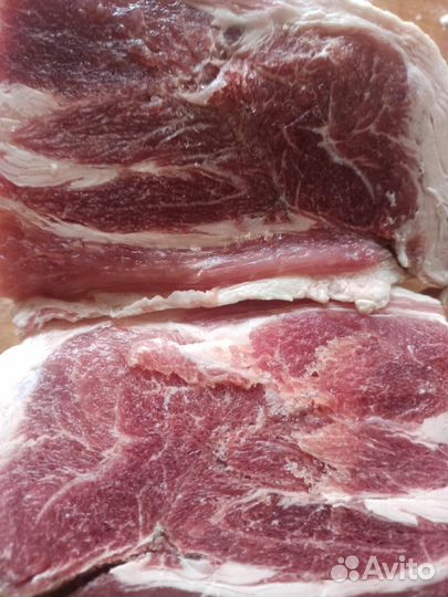 Корма для животных оптом