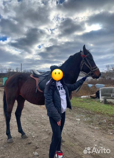 Продаются мерены