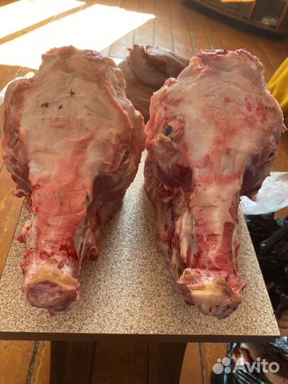 Ноги свиные,рульки,обрезь