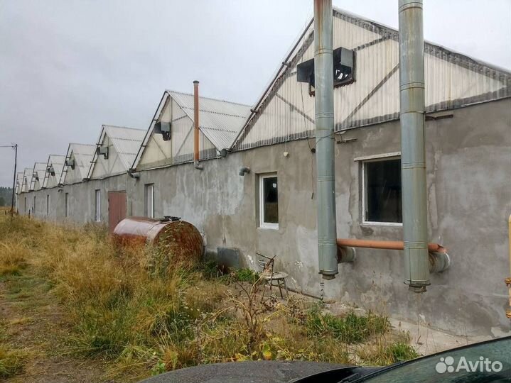 Теплица на продажу