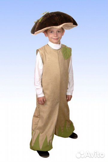 Костюм или шапка гриба напрокат