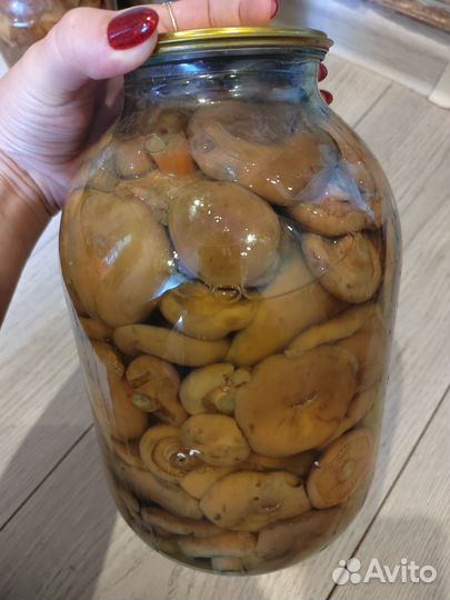 Рыжики