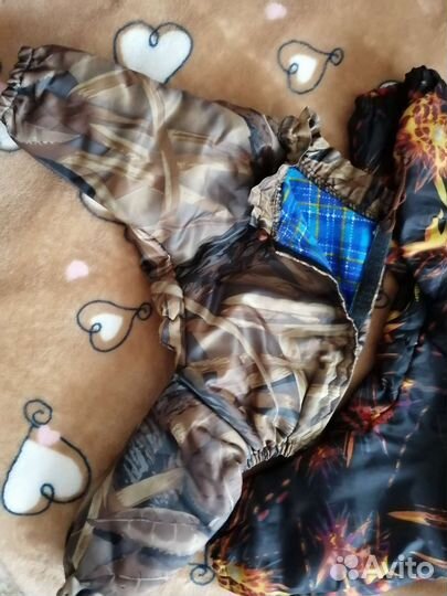 Одежда для маленьких собак