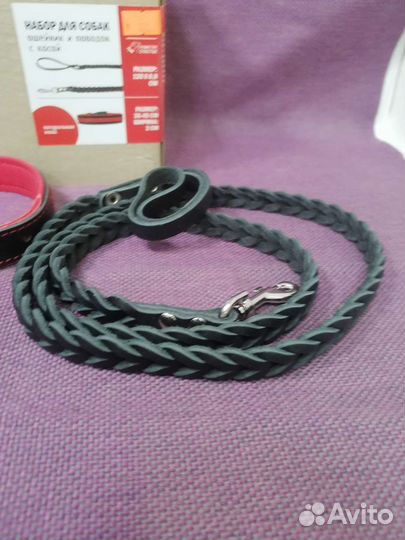 Ошейник и поводок