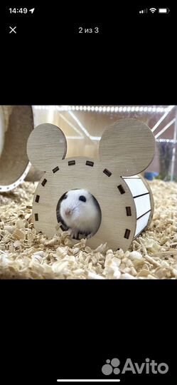 Домик для джунгарского хомяка грызунов