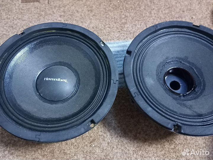 Динамики 21 см