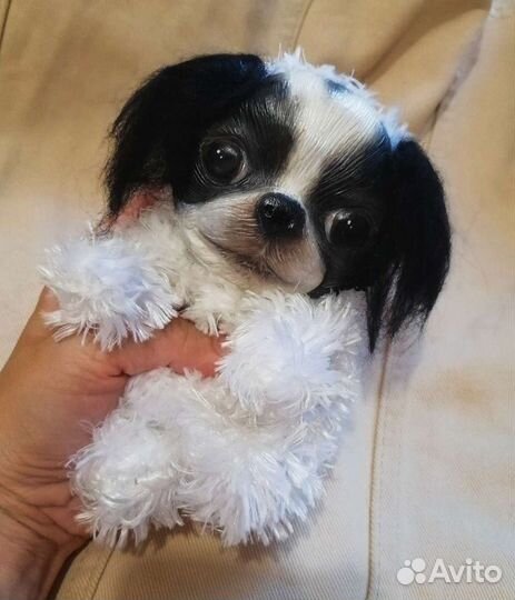 Игрушки на заказ собаки кошки