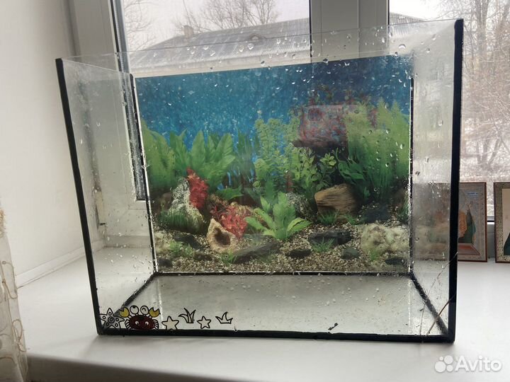 Аквариум