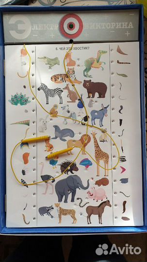 Электровикторина обучающая игра