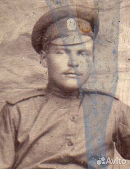 317-й пех. дрисский полк. рядовой шишмаков феодор