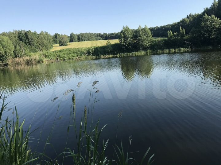 Участок 29 сот. (СНТ, ДНП)