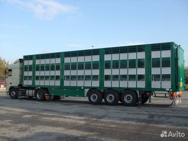 Водитель категория се