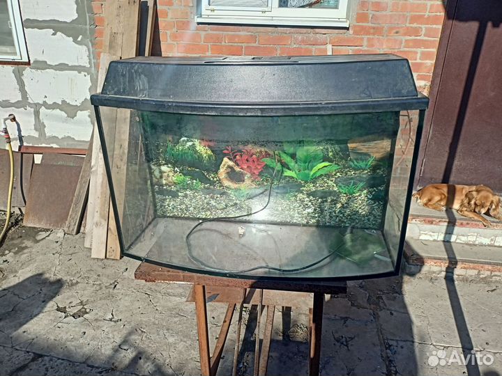 Украшения для аквариума