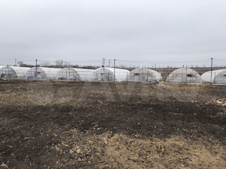 Производство, 50000 м²